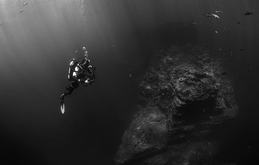 grayscale photography, man, wearing, diving, suit, scuba diver, diver, underwater, water, sea