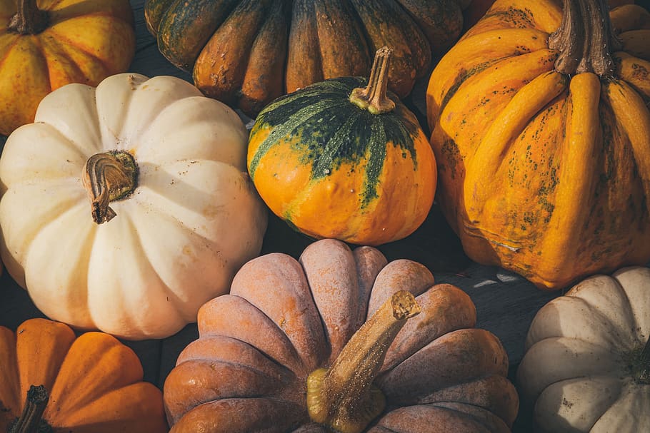calabazas, otoño, octubre, calabaza, decoración, halloween, comida, fruta, cosecha, acción de gracias