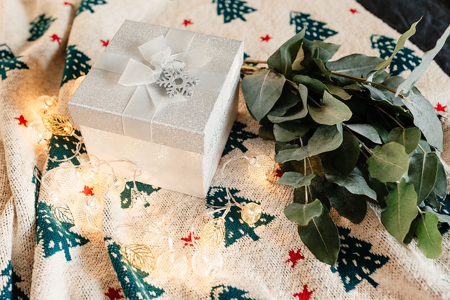 presente de natal, natal, dezembro, inverno, cobertor, presente, Branco, decorativo, caixa, celebração