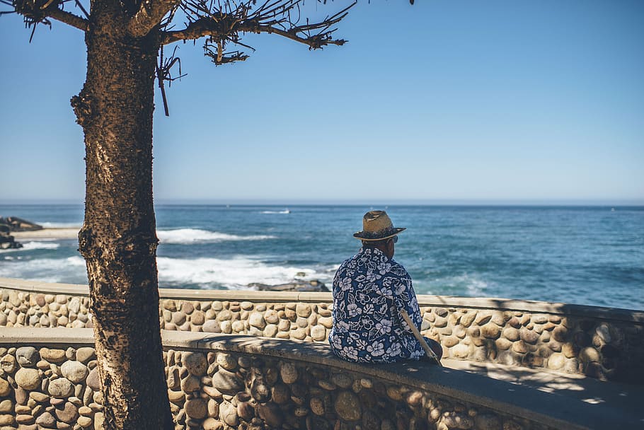 hombre, sentado, hormigón, banco, árbol, frente a la orilla del mar, personas, solo, relajarse, piedra