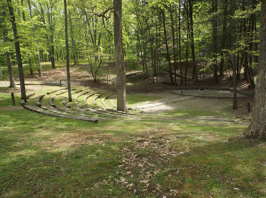 amphitheater, woods, stage, park, tennessee, norris park, tree, plant, land, forest