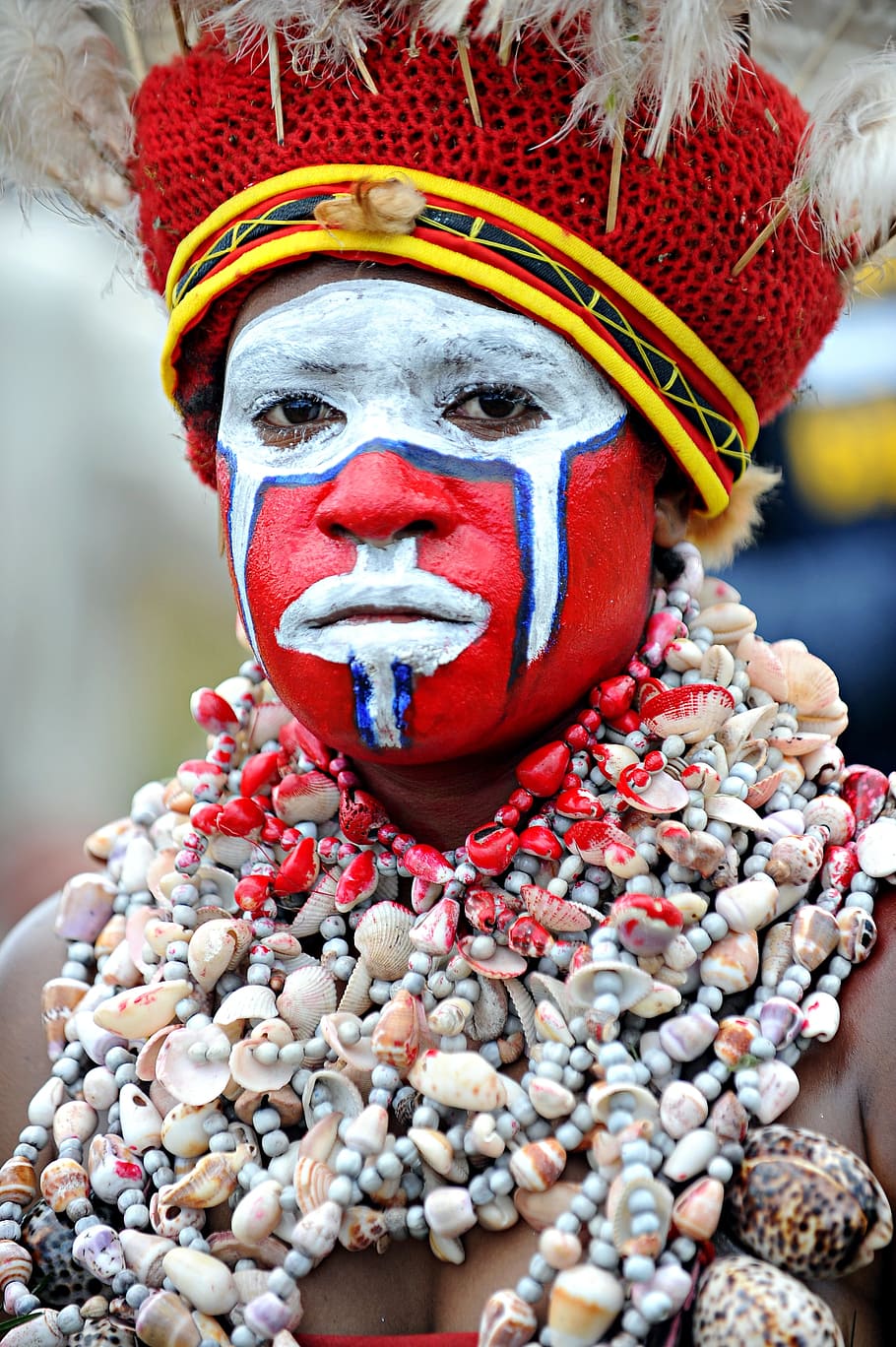 ゴロカ, ショー, パプア, 新しい, ギニア, 文化, 先住民族の文化, 人々, 衣装, 伝統的な服