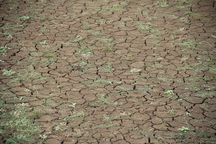 brown, soil, grasses, dry, global warming, dehydrated, drought, summer, cracks, cracked