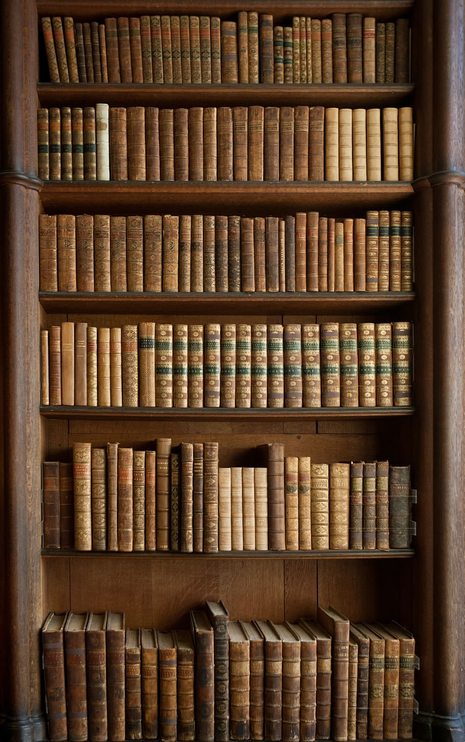 brown, book lot, wooden, shelf, books, bookcase, old books, historical, antique, felbrigg hall