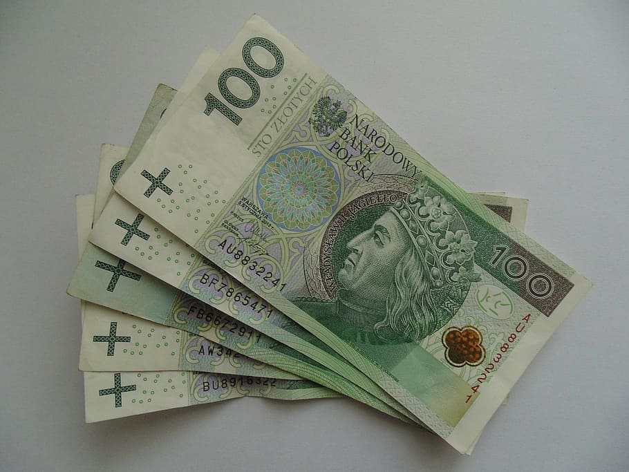 notas, dinheiro, polonês, polônia, conta, 100, papel moeda, moeda, finanças, negócios