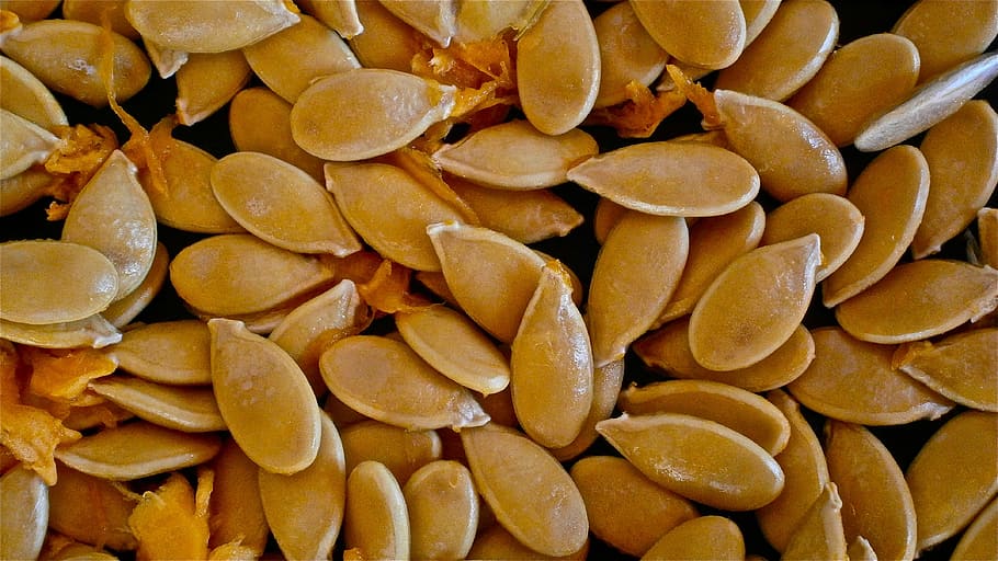 gray squash seeds, pumpkin, fruit, seed, vegetable, nature, food and drink, large group of objects, food, full frame