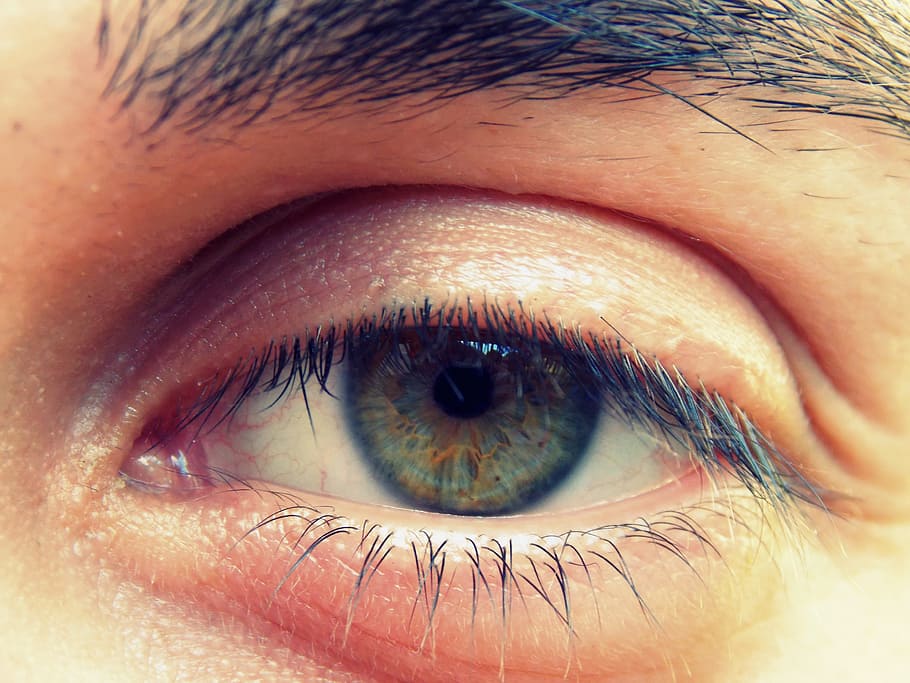 person's left eye, eye, iris, viewing, eyes, eye lashes green, vision,  human, view, pupil | Pxfuel