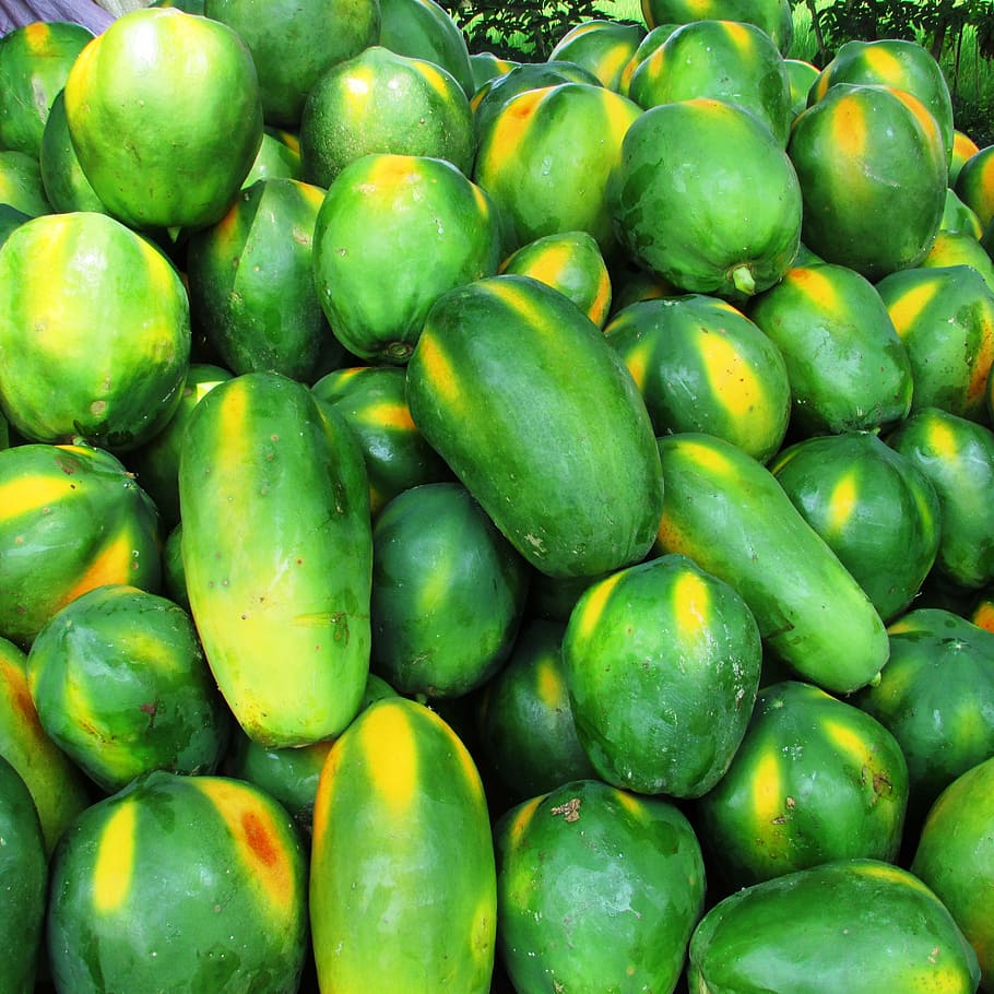 papaya, fruit, green, tropical, exotic, heap, malebennur, india, food and drink, healthy eating