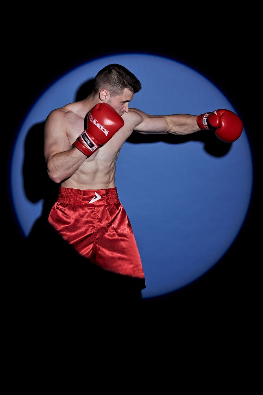 boxe, modelo, esporte, corpo, esportes, sessão de fotos, kickboxing, boxer, atleta, tiro de estúdio