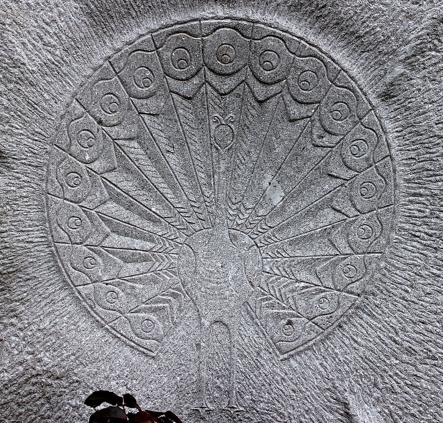 relief, peacock, wheel, wheel of life, bird, stone figure, stone, figure, animal, symbol