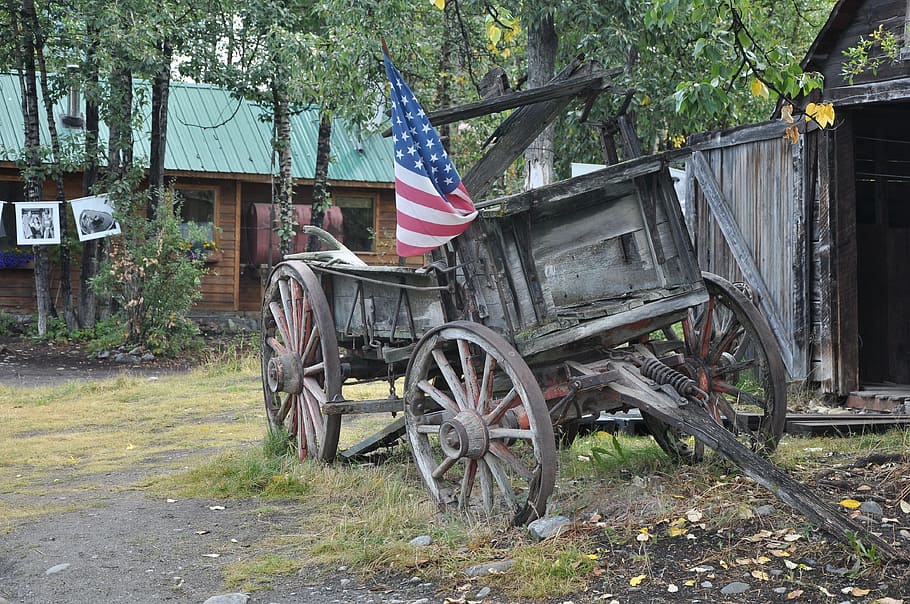 usa, wild west, covered wagon, plant, transportation, day, tree, architecture, built structure, mode of transportation