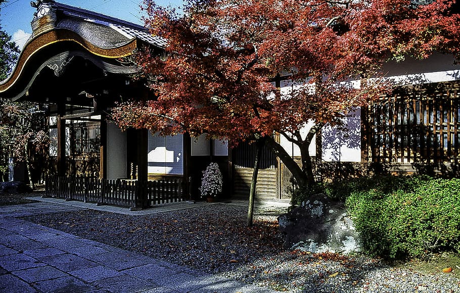 karahafu roof, kyoto, japan, Gate, karahafu, roof, Kyoto, Japan, house, red, temple