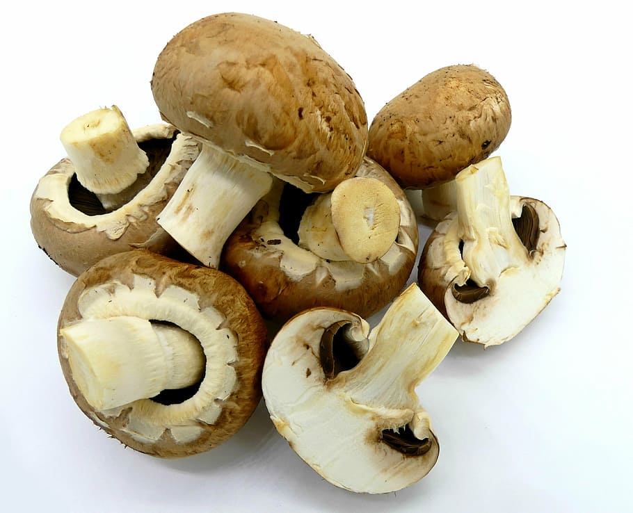 several brown mushrooms, mushrooms, brown mushrooms, food, edible, eat, pleasure, feed, nutrition, healthy