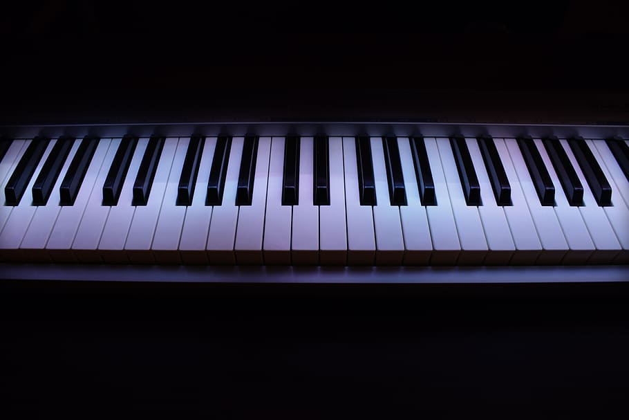 blanco, negro, piezas de piano, piano, midi, música, musical, instrumento, teclado, sintetizador