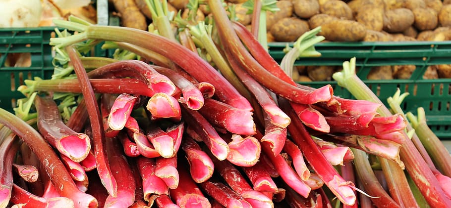 rhubarb, farmers local market, market, market stall, food, healthy, stands, sale, vegetables, vegetable rhubarb
