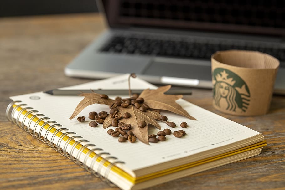 autumn, coffee, laptop, coffee bean, core, office, the work, work, break, starbucks