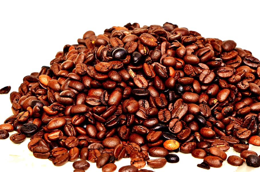 biji kopi coklat, Biji Kopi, Kafe, Panggang, kopi, kafein, coklat, aroma, buncis, kopi panggang