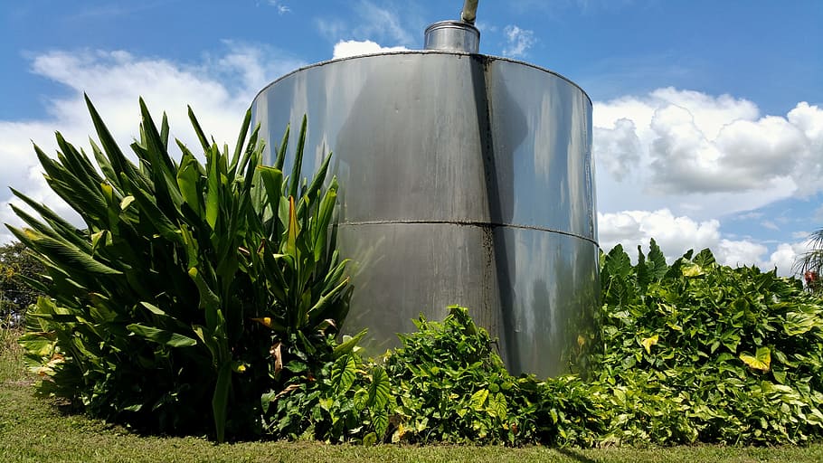 water tank, plant's, metallic, sky, plant, cloud - sky, storage tank, nature, agriculture, silo