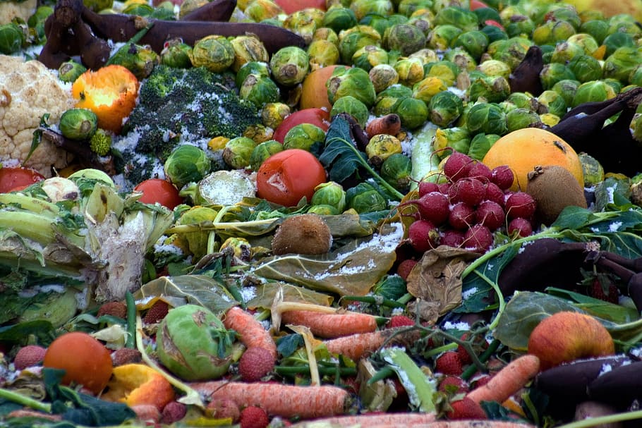 Verduras, corruptas, congeladas, desechadas, vegetales, alimentos y bebidas, alimentos, frutas, alimentación saludable, frescura