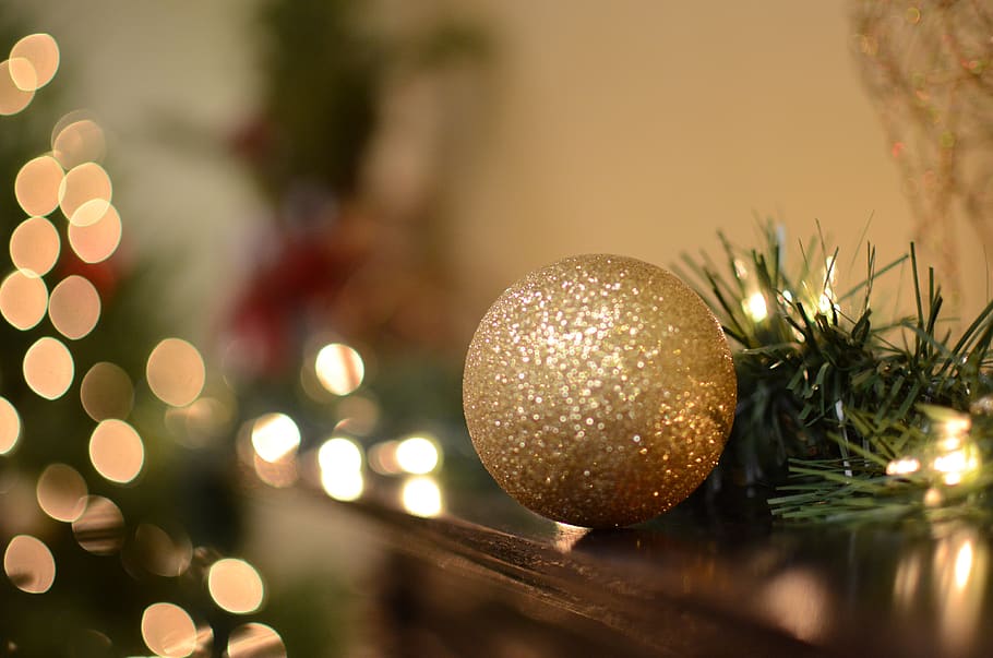 Navidad, fiesta, árbol, decoración, rojo, oro, festivo, decorativo, estacional, invierno
