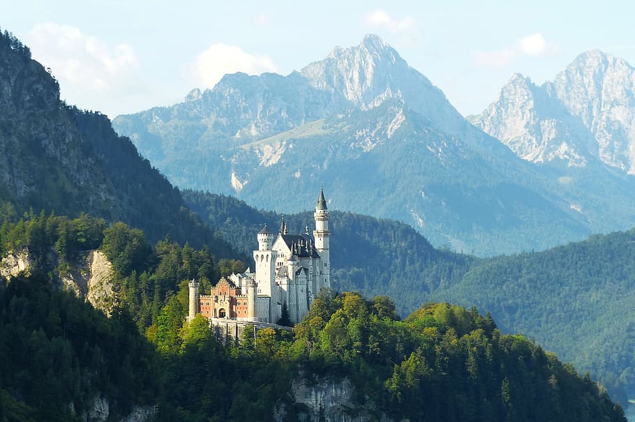 white, castle, green, leaf tree, coated, mountain, white castle, green leaf, tree, neuschwanstein castle