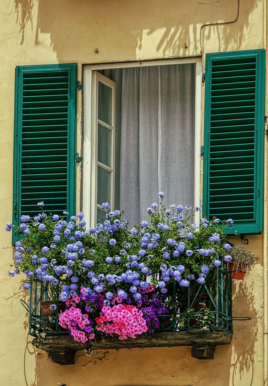 italy, tuscany, architecture, vacations, building, houses, flowering plant, window, flower, plant