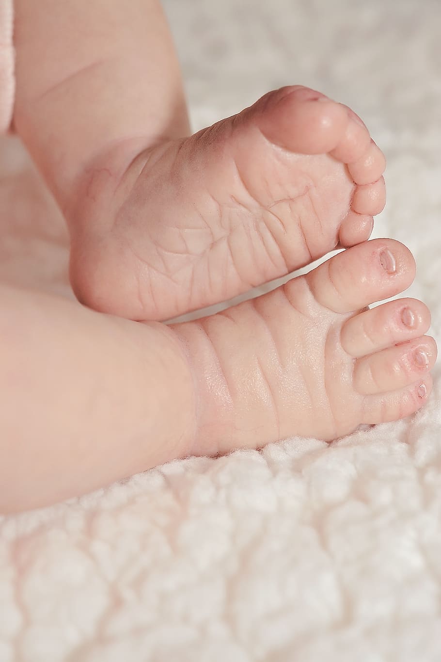 baby, feet, blanket, babyfüße, ten, newborn, cute, human, small, part of the body