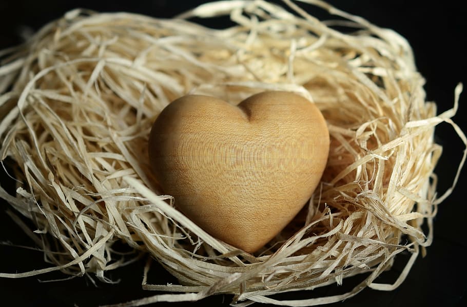 marrón, caja de corazón, nido, lana de madera, madera, materiales naturales, marrón claro, por supuesto, ayuda de empaque, relleno