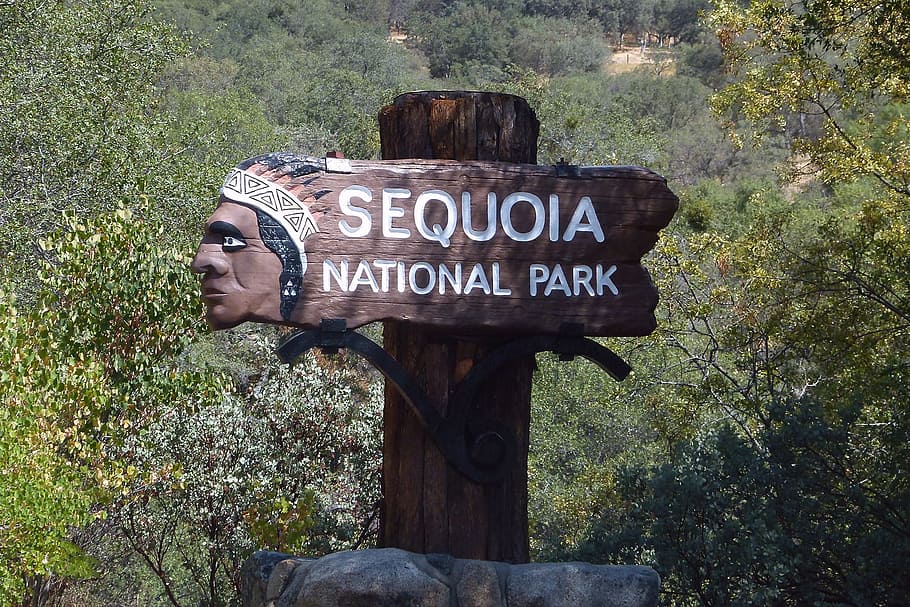 Signage, Board, Signboard, Wooden, sequoia national park, california, usa, sign, text, day