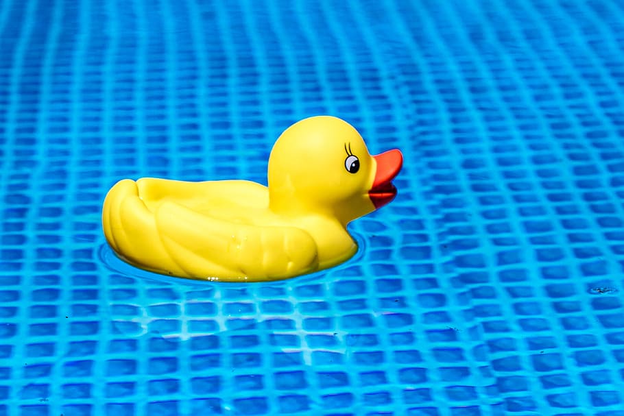 yellow, rubber ducky, floating, clear, water, summer, warm, beach, swim, holidays