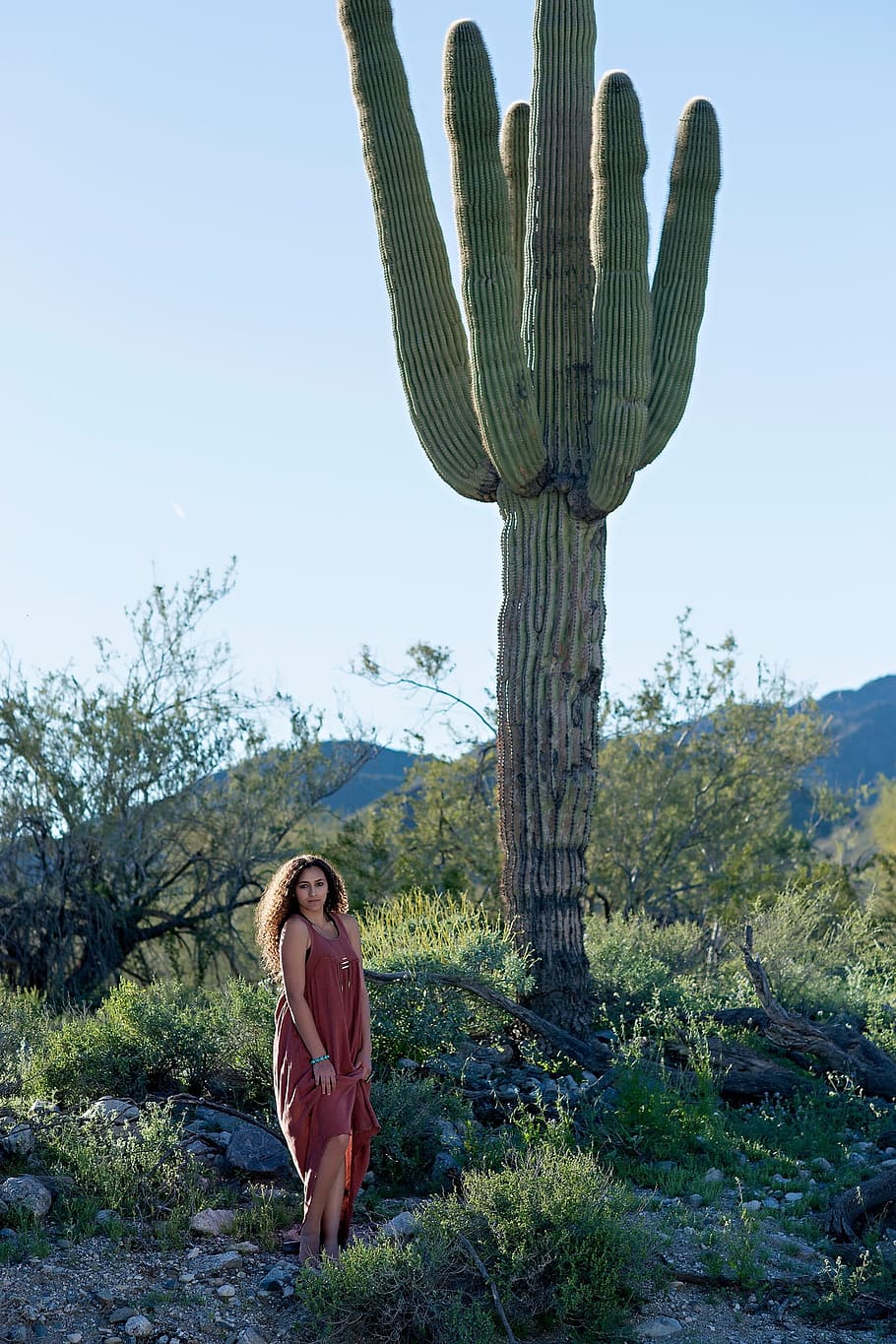 Una mujer es enana por un cactus saguaro. El saguaro es un cactus parecido  a un árbol que puede crecer hasta tener más de 70 m (21 pies) de altura. Es  nativo