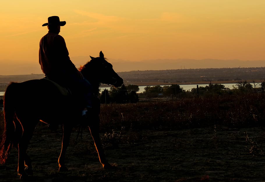 silhueta, homem, equitação, cavalo, vaqueiro, pôr do sol, lago, crepúsculo, país, ocidental