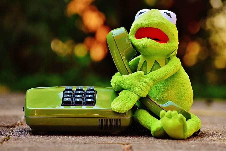 kermit, frog, phone, figure, funny, frogs, animal, plush, stuffed animal, toy