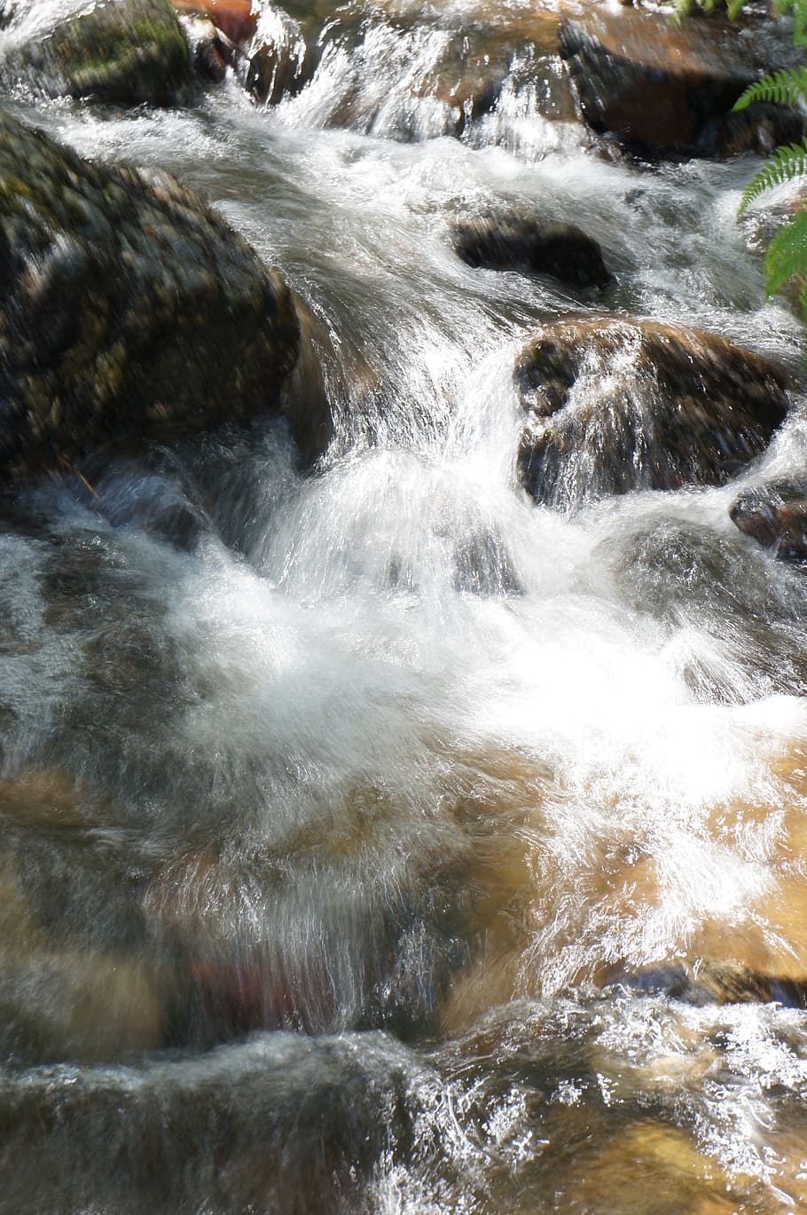 自然, 滝, それでも, 水, 落ち着いた, まだ, フローティング, 川, ストリーム, 流れる