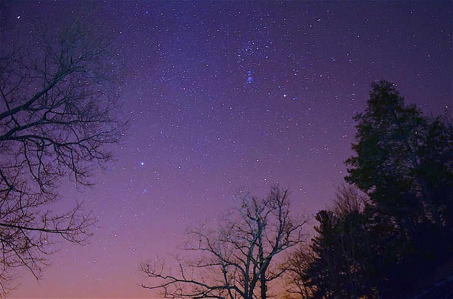 Free download | silhouette photography, trees, stars, night, silhouette ...