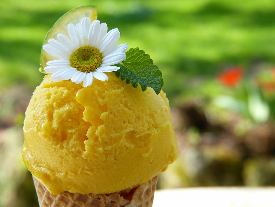 yellow, ice cream, flowers, ice, waffle, blossom, bloom, mint, lemon, eating ice cream