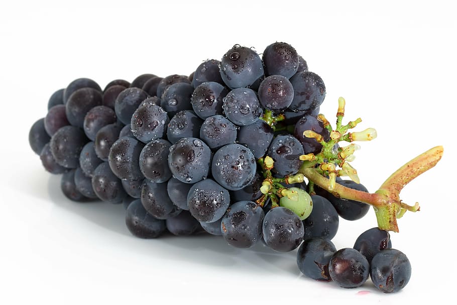 bundel anggur ungu, anggur, ikat, buah, pemeliharaan anggur, manis, merah, matang, panen, ungu