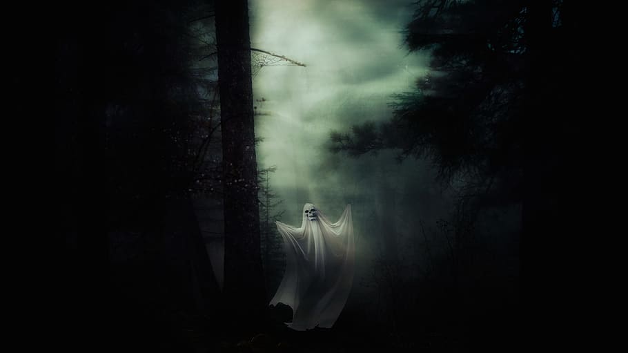 幽霊, 森, 夜の時間, 精神, ハロウィーン, 不気味な, 奇妙な, 気分, 怖い, 神秘的な