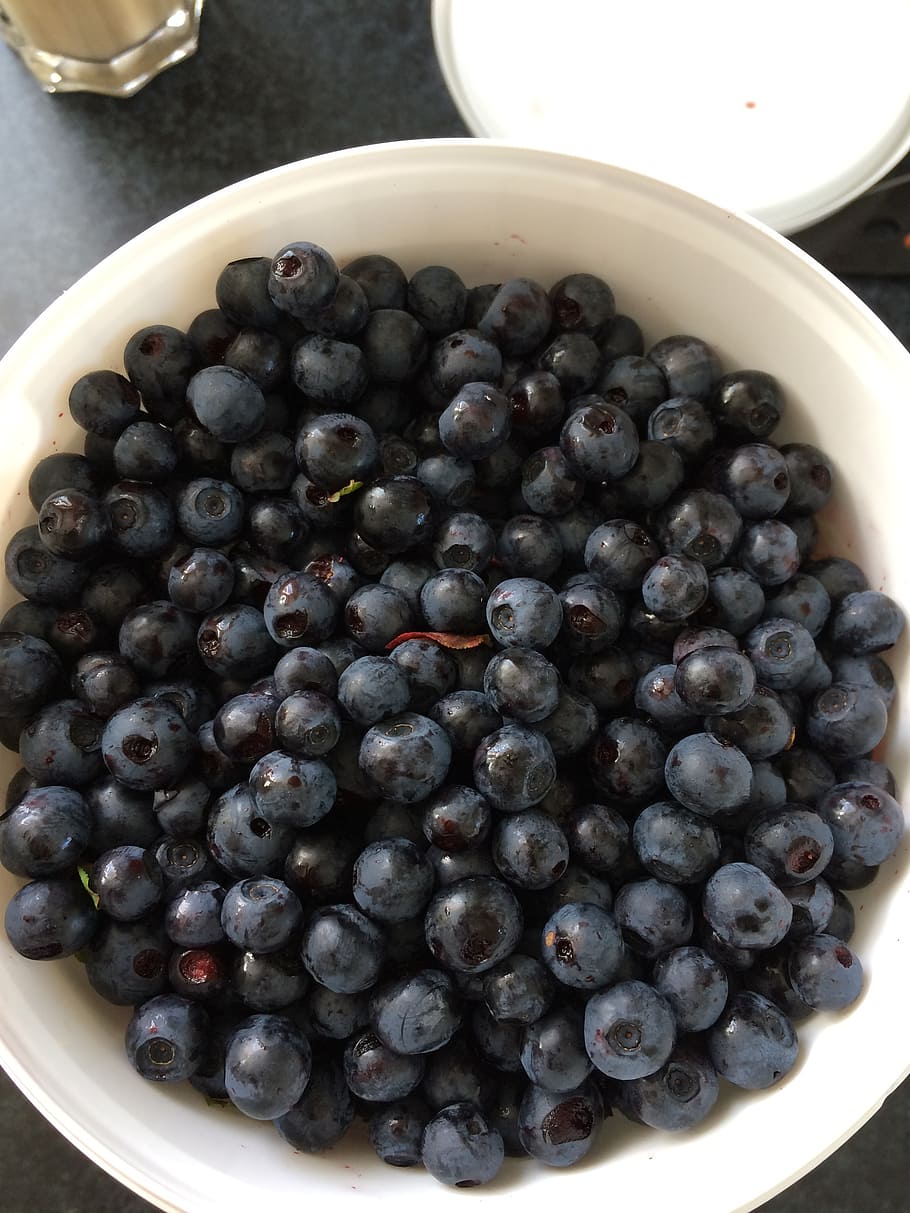 blueberries, berry picking, blueberry bucket, food and drink, food, healthy eating, wellbeing, freshness, fruit, berry fruit