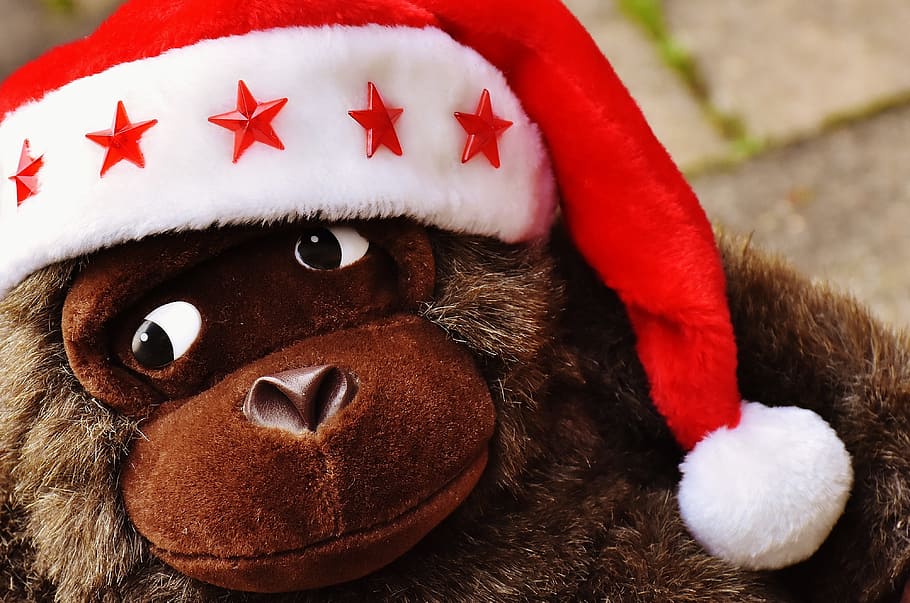 christmas, santa hat, stuffed animal, soft toy, monkey, gorilla, celebration, red, close-up, hat