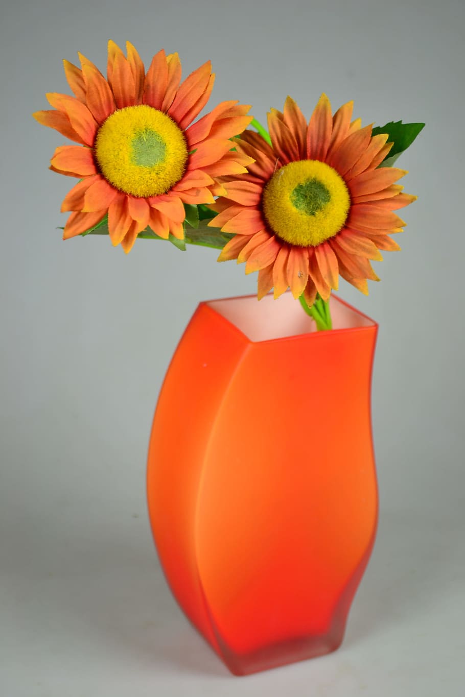 Sunflower, Orange, Warm, Vase, nature morte, still life, yellow, flower, nature, gerbera Daisy