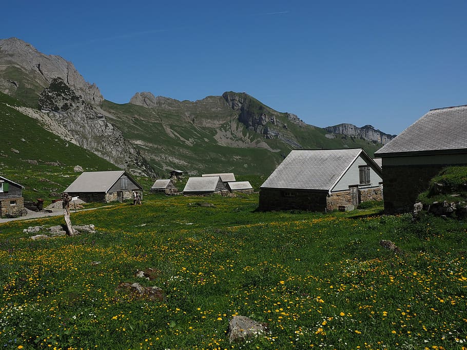 alpe, alm, meglisalp, bergdorf, hogares, pueblo alpino, appenzell, innerrhoden, región de alpstein, destino