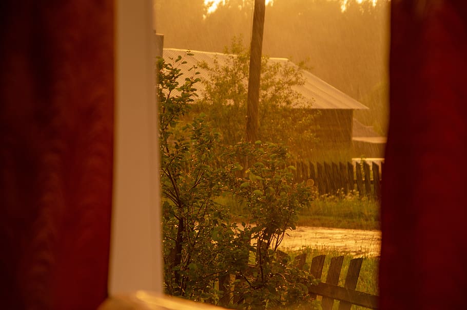 hujan, jendela, cahaya, basah, tetes, alam, jelas, penurunan, bersih, hujan badai