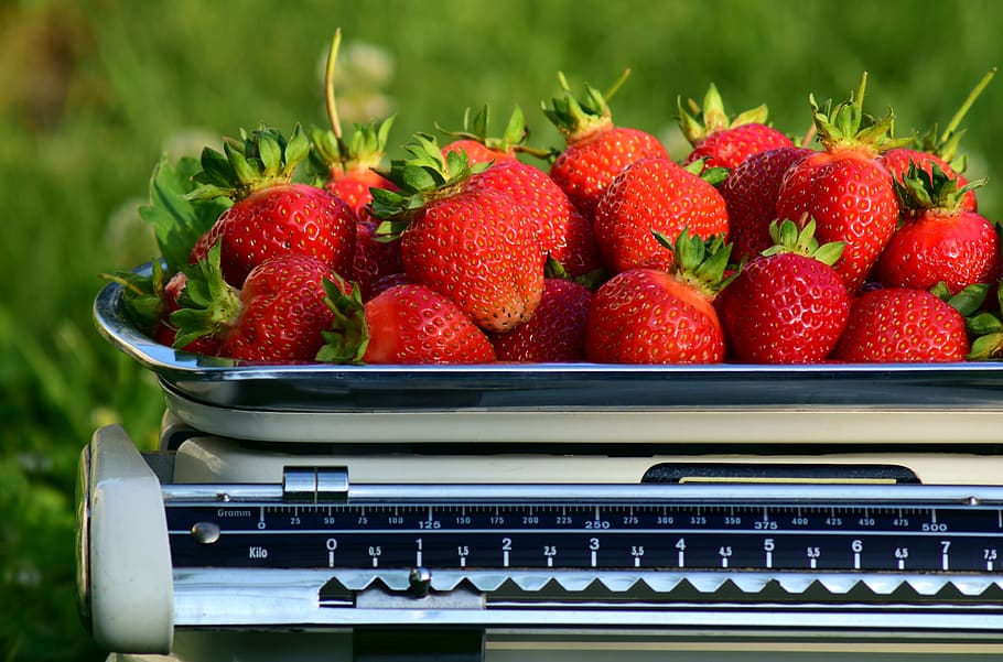 horizontal, morangos, pesar, peso, fresco, colheita, balança de cozinha, balança doméstica, frutas, vitaminas