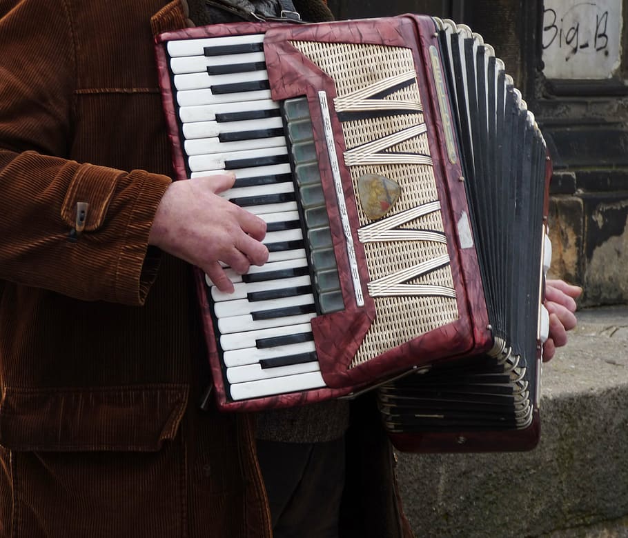 accordion, the harmony, playing, play, musician, music, street, instrument, man, musicians