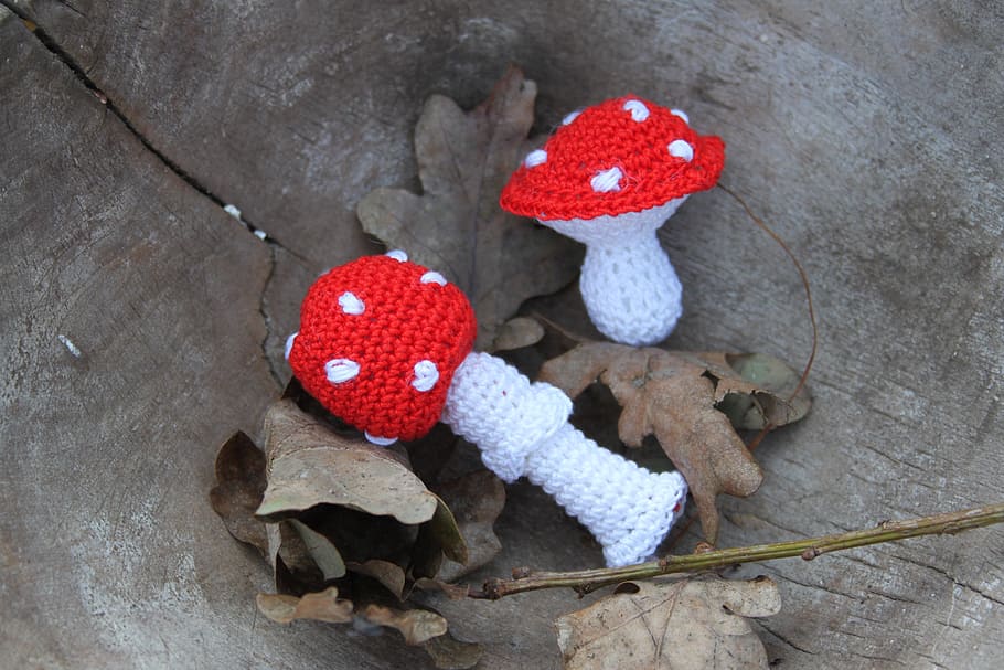 mushroom, fly agaric, knitted, red with white dots, autumn, finely crocheted, hooking, forest, nature, red