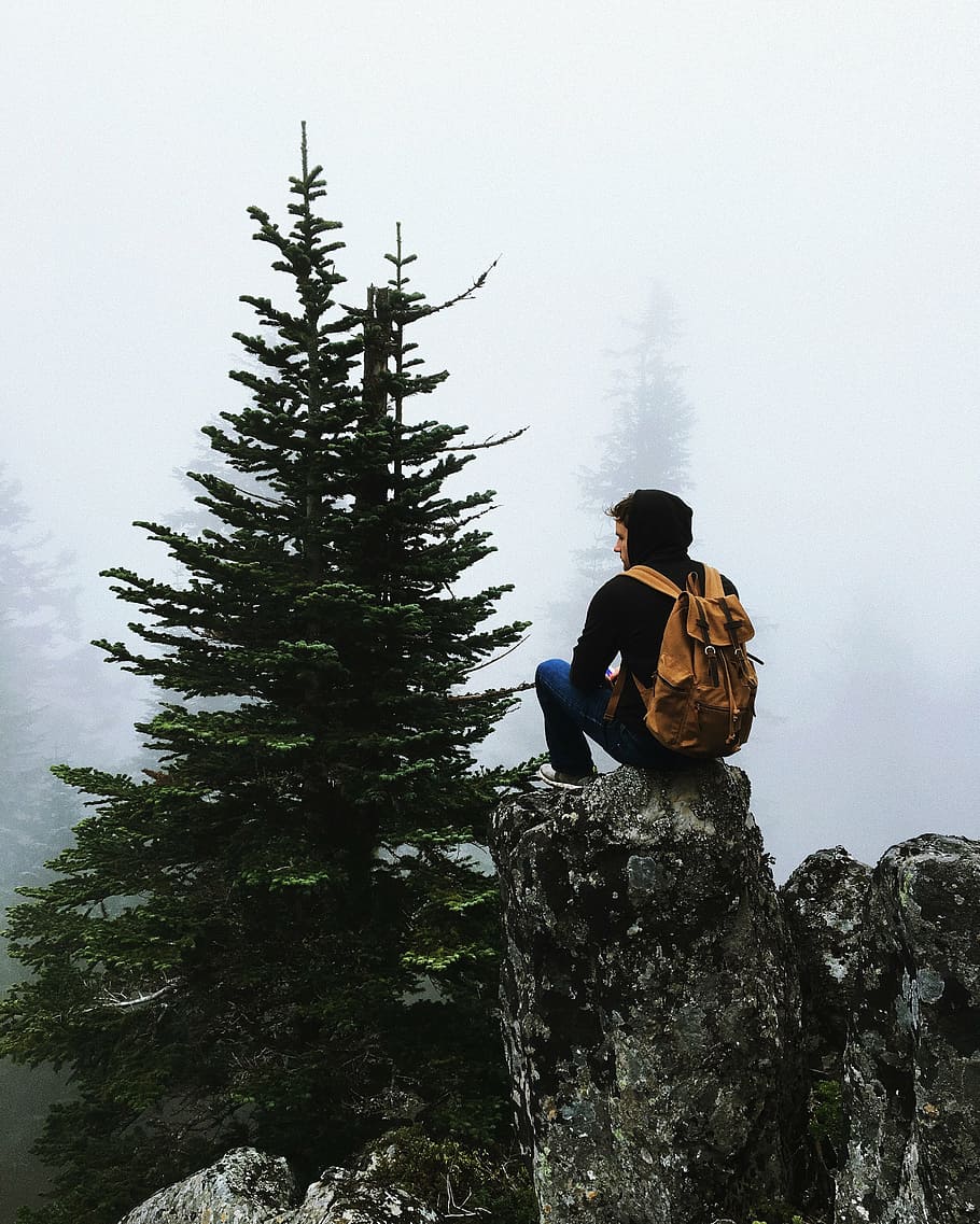 man, sitting, rock cliff, tall, trees, daytime, people, back, mountain, peak
