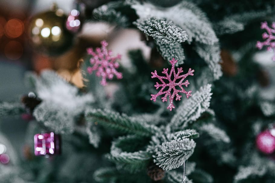 enfeites de árvore de natal, árvore de natal, enfeites, árvore, decoração, natal, bolas de natal, bolas, inverno, neve