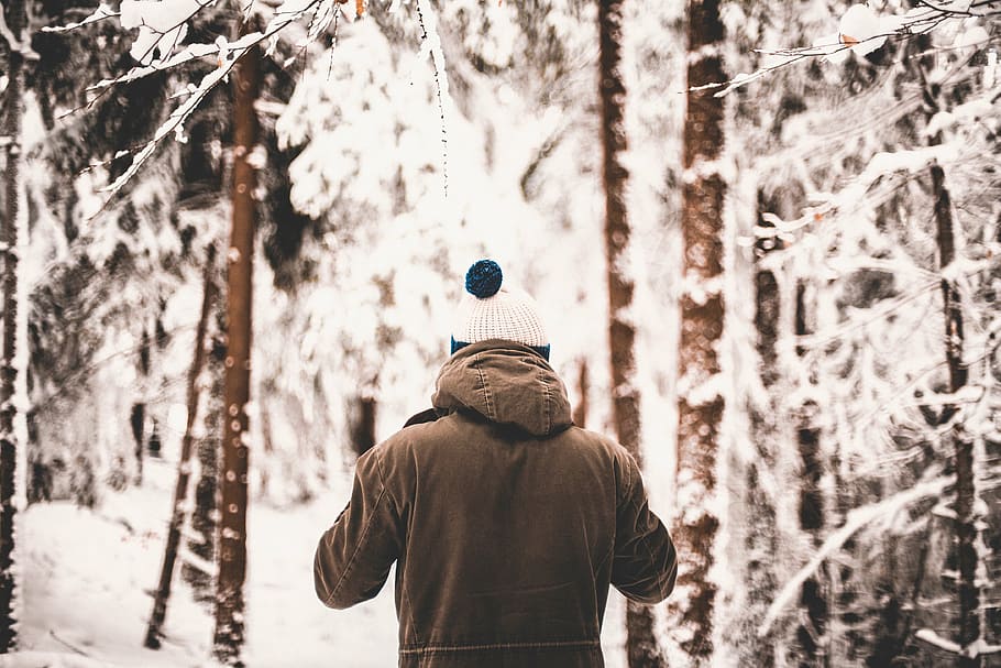 person, walking, forest, winter weather, trees, plants, nature, forests, snow, winter