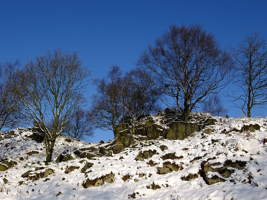 inverno, neve, rochas, árvores, colina, charneca, colinas warren, azul, céu, frio